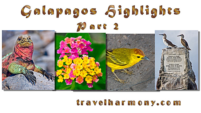 Galapagos Highlights - Part 2